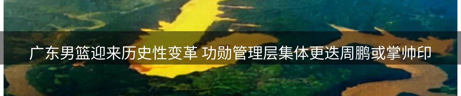 内页banner